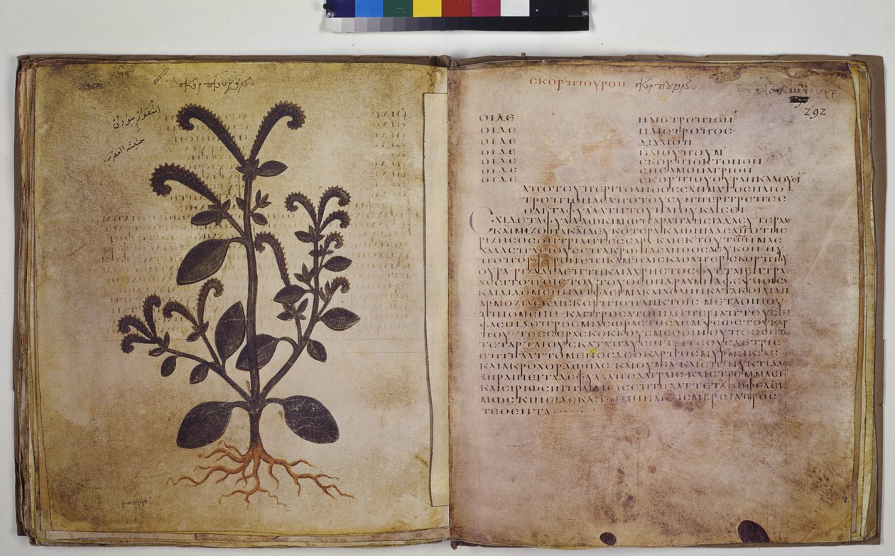  作： エーリッヒ・レッシング