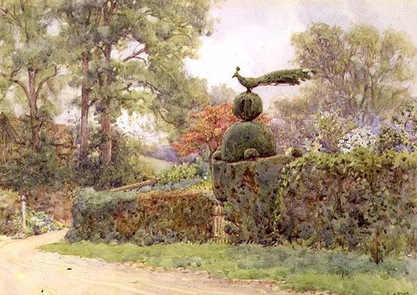 The Old Yew Hedge, Speldhurst, Kent (watercolor) 作： アーネストアーサーロウ