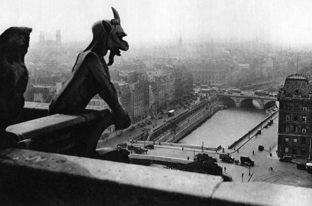 1931年、パリのノートルダムの塔から見たセーヌ川。 作： アーネスト・フラマリオン