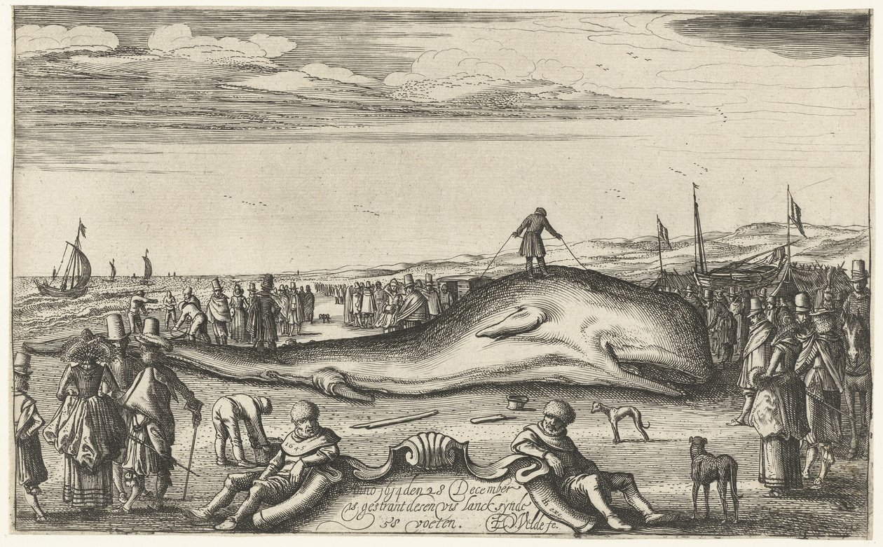 1614年、ノールトウェイクの浜辺に座礁したマッコウクジラ 作： エサイアス・ファン・デ・ヴェルデ