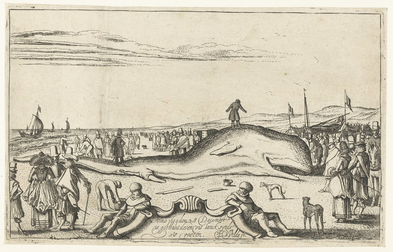 1614年、ノールドウェイクの浜辺に座礁したクジラ 作： エサイアス・ファン・デ・ヴェルデ