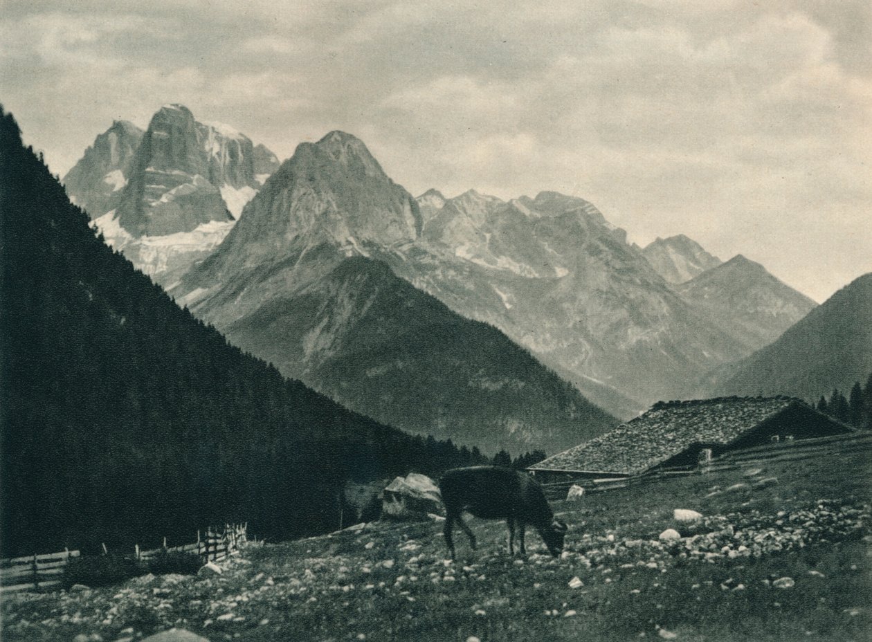 高山の牧草地、マドンナディカンピリオ、ドロミテ、イタリア、1927年のブレンタグループのビュー 作： オイゲン・ポペル