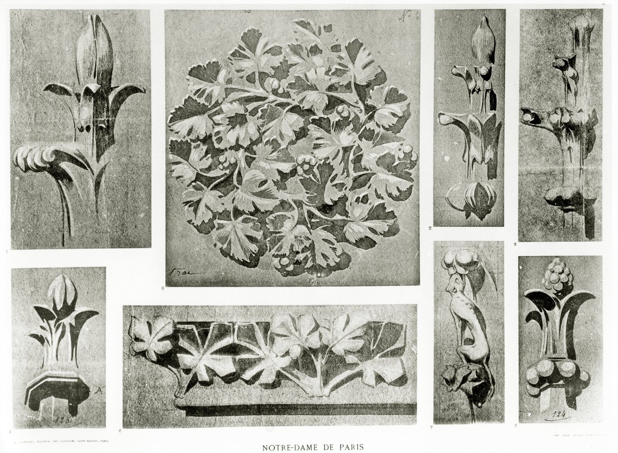 ノートルダムの復元のための建築の詳細 作： Eugene Emmanuel Viollet le Duc