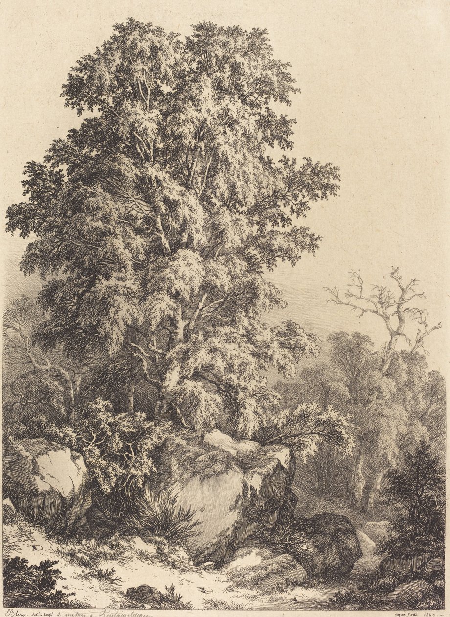 ブナの木立、1840 年。 作： ユージン・ブレリー