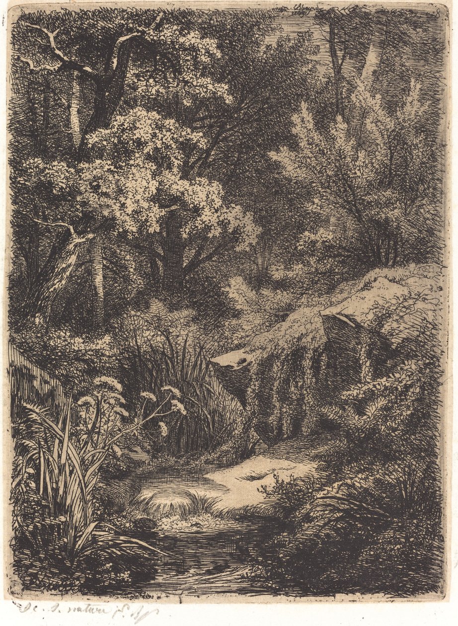 Le petit ruisseau The Little Brook、1849 年出版。 作： ユージン・ブレリー