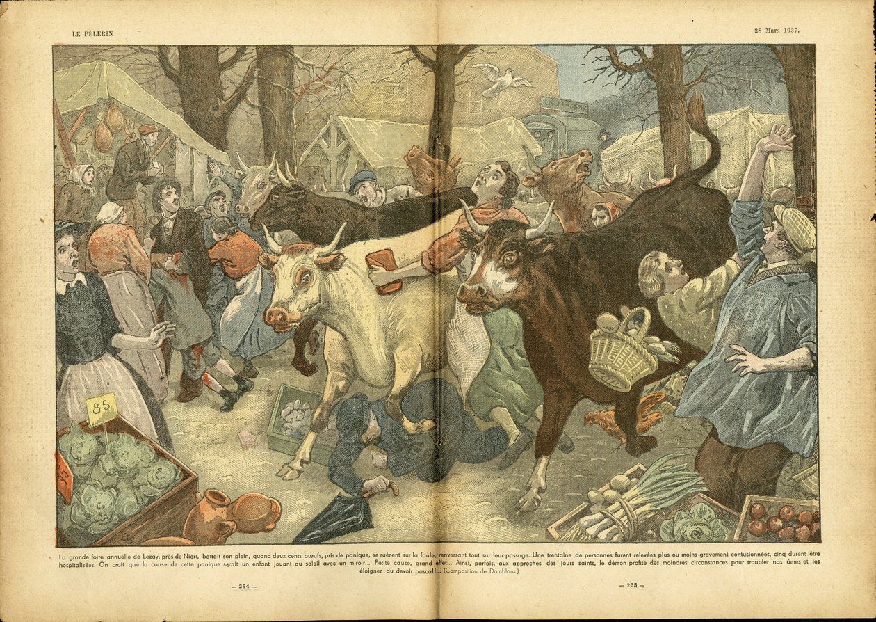 Le Pelerin, 28/03/37に掲載されたEugene Damblans (1865-1945)のイラスト - 年に一度のNiort近郊Lezayの大博覧会 - 雑学, 経済, 群衆, 商店, 農業, 豆類 - 牛, 牛肉, Camelot traveling seller 作： ユージンダンブランス