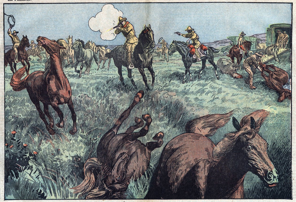 アメリカでは野生の馬が虐殺されています。ダンブランスのイラスト。1月31日の「ル・ペレラン」では 作： ユージンダンブランス