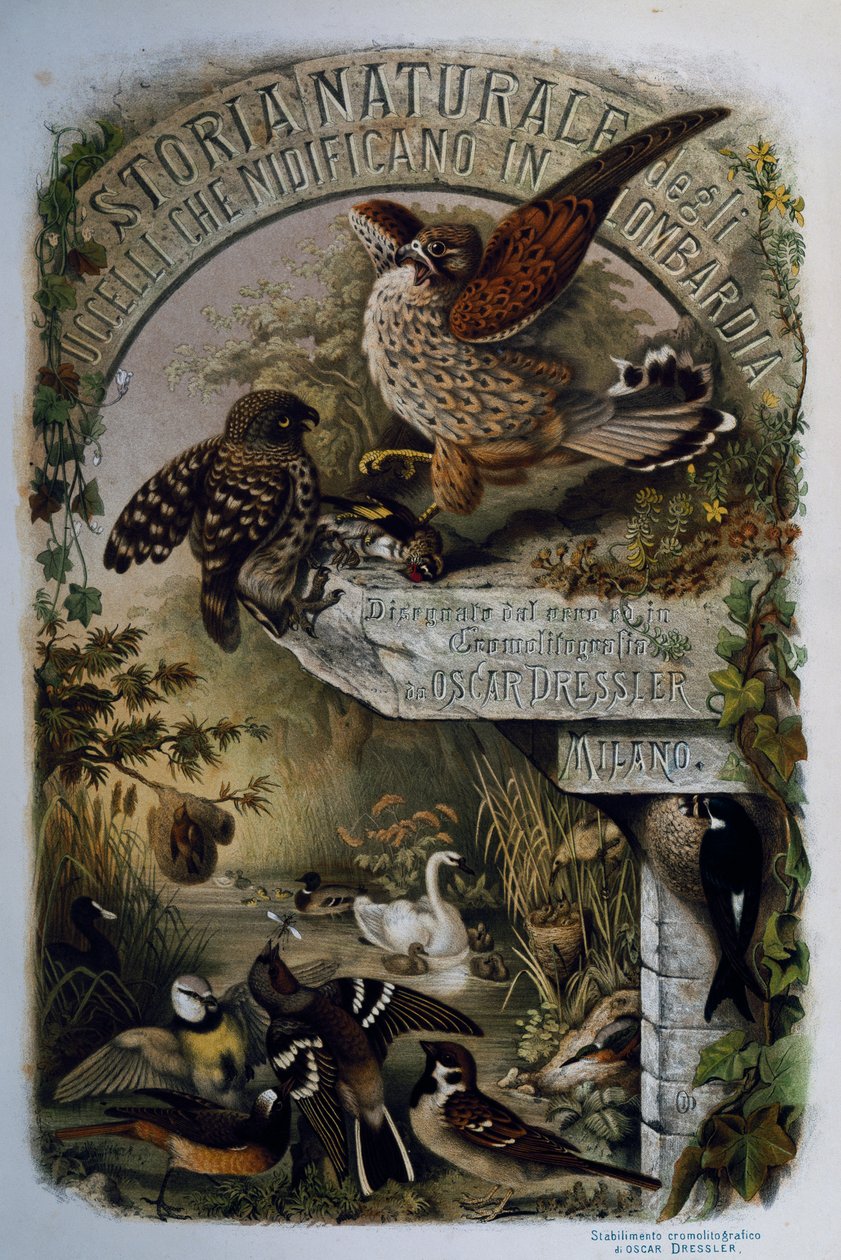 エウジェニオ・ベットーニ（1845-1898）著『ロンバルディアに営巣する鳥類の自然史』のタイトルページ、オスカー・ドレスラーの彫刻、イタリア 作： Eugenio Bettoni、オスカードレスラー