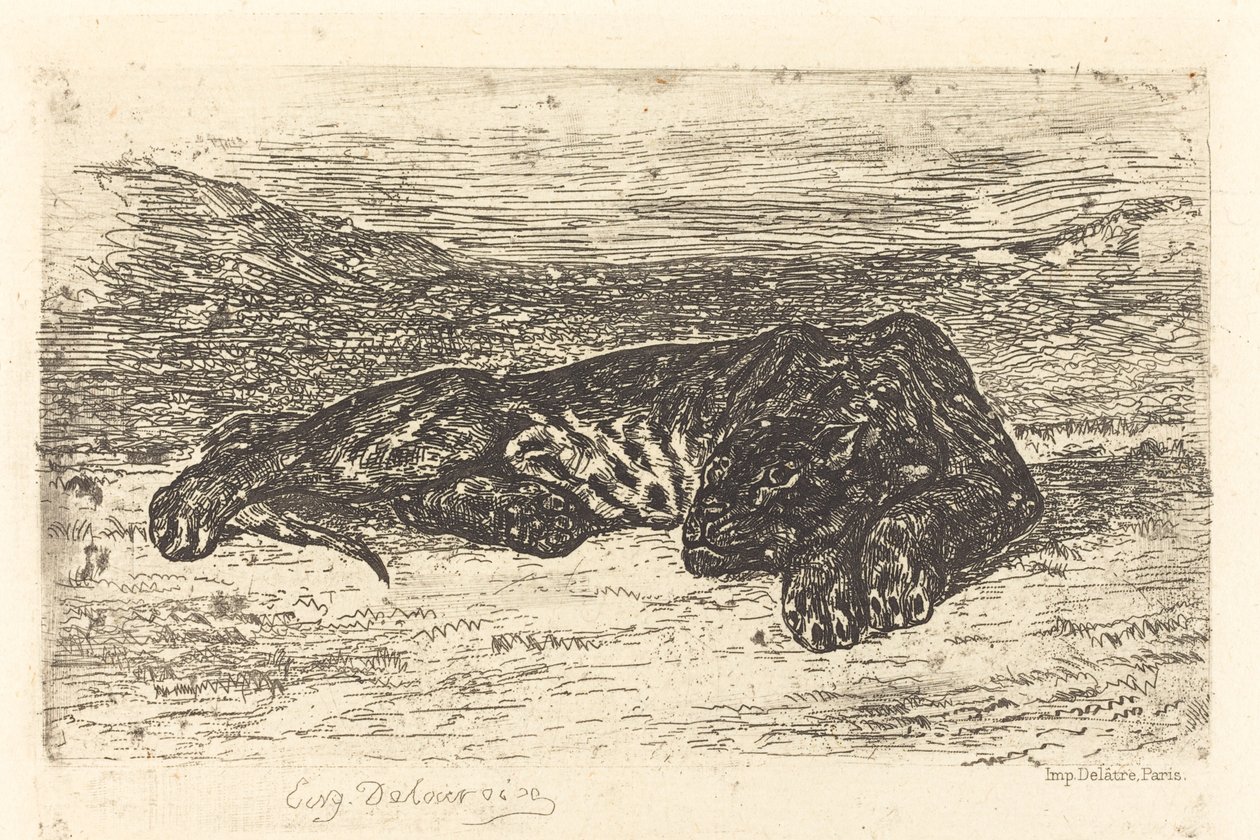 砂漠で眠る虎 砂漠で眠る虎、1846年。 作： ウジェーヌ・ドラクロワ