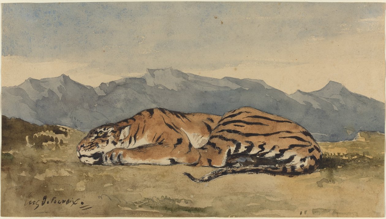 タイガー、c。 1830年。 作： ウジェーヌ・ドラクロワ