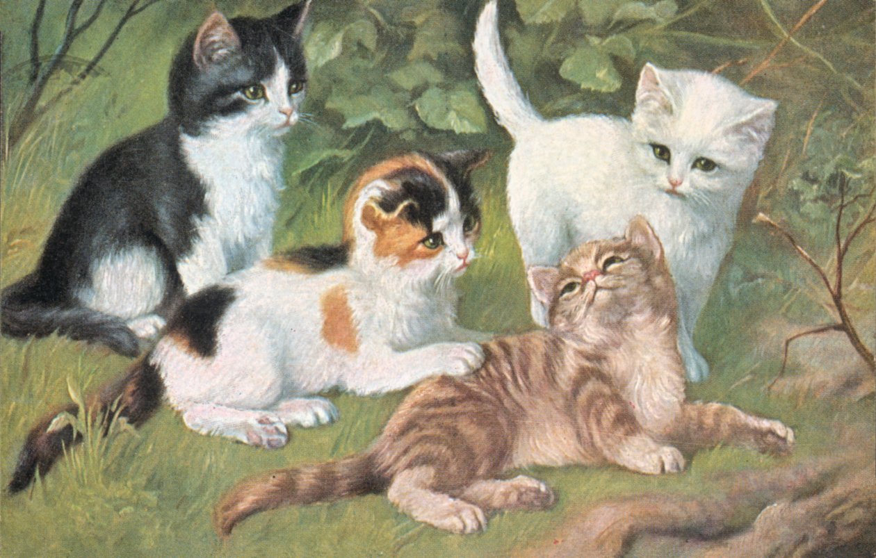 猫のポストカード（カラーリトグラフ） 作： ヨーロピアンスクール