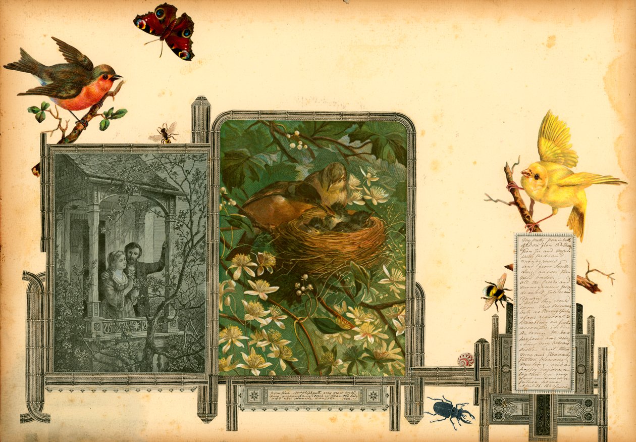 サンメルスリウム第1巻のページ（印刷物） 作： ヨーロピアンスクール