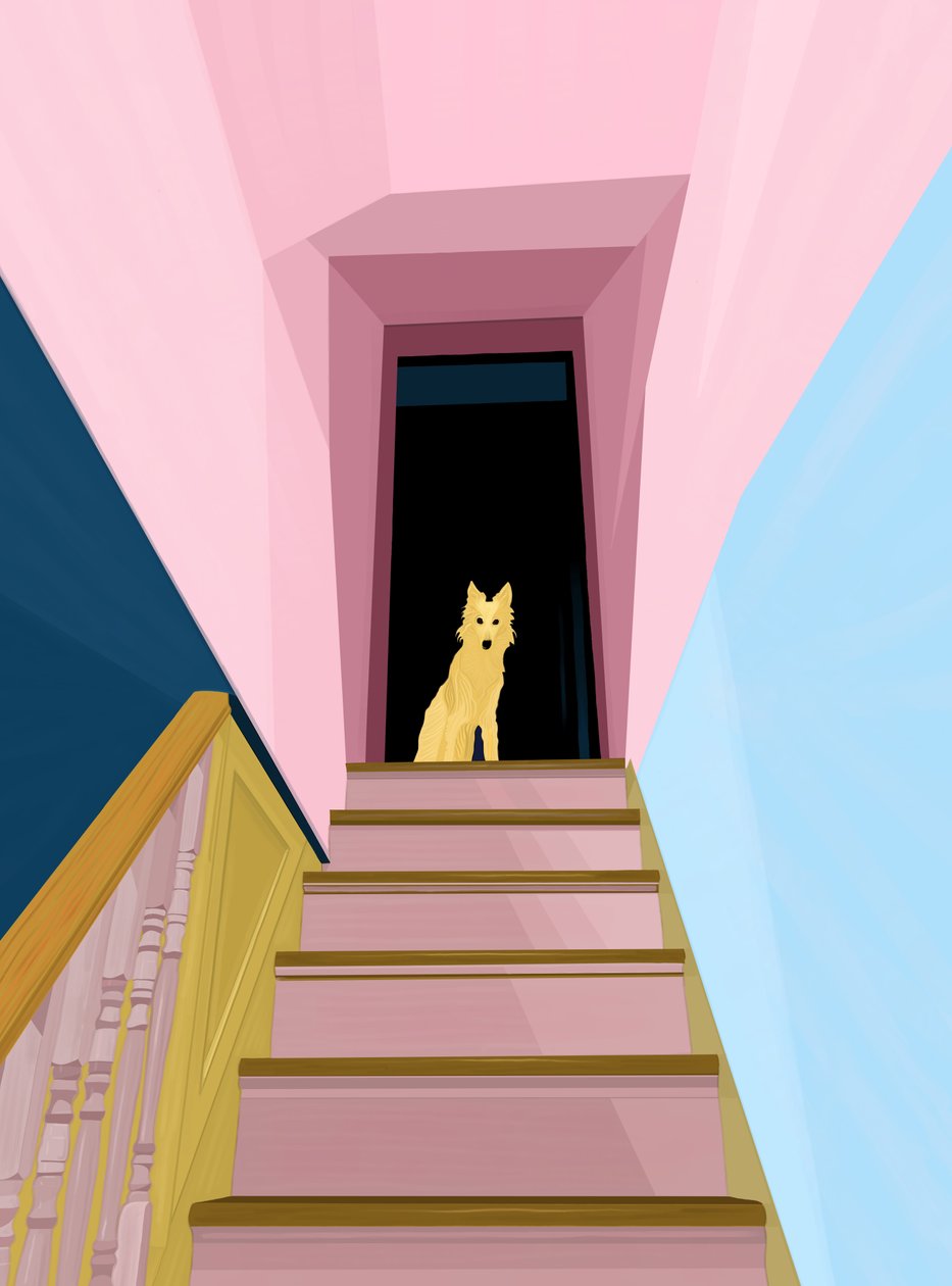 階段の上の犬（デジタルアート） 作： エヴァン・スクラー