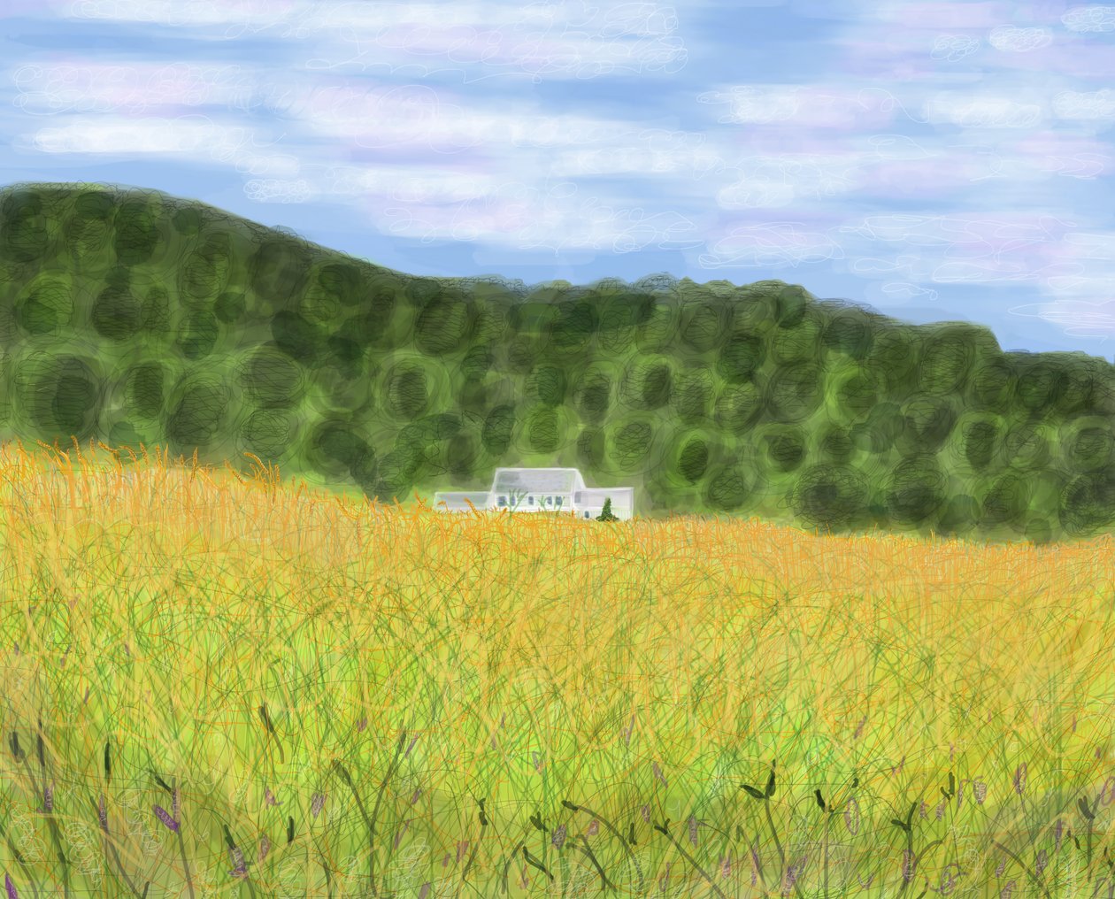 Field and Farmhouse In Vermont, 2018（iPadでアップルペンシルを使って手描きしたもの） 作： エヴァン・スクラー