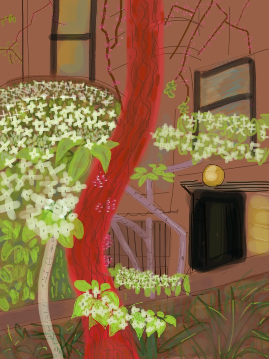 花咲くハナミズキの木、2015年（iPadでアップルペンシルを使って手描きしたもの） 作： エヴァン・スクラー