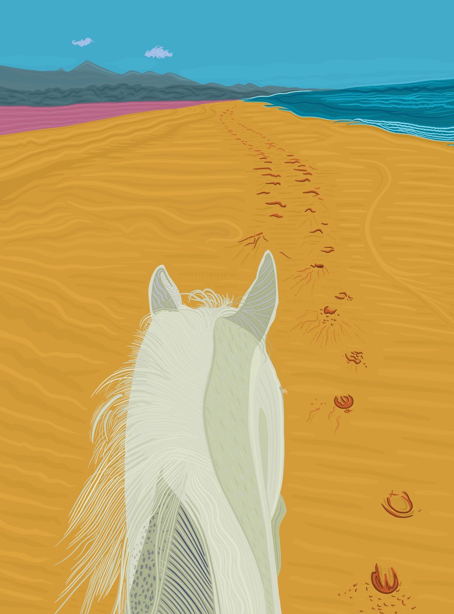 Horse On Beach, c.2020-24（デジタルアート） 作： エヴァン・スクラー