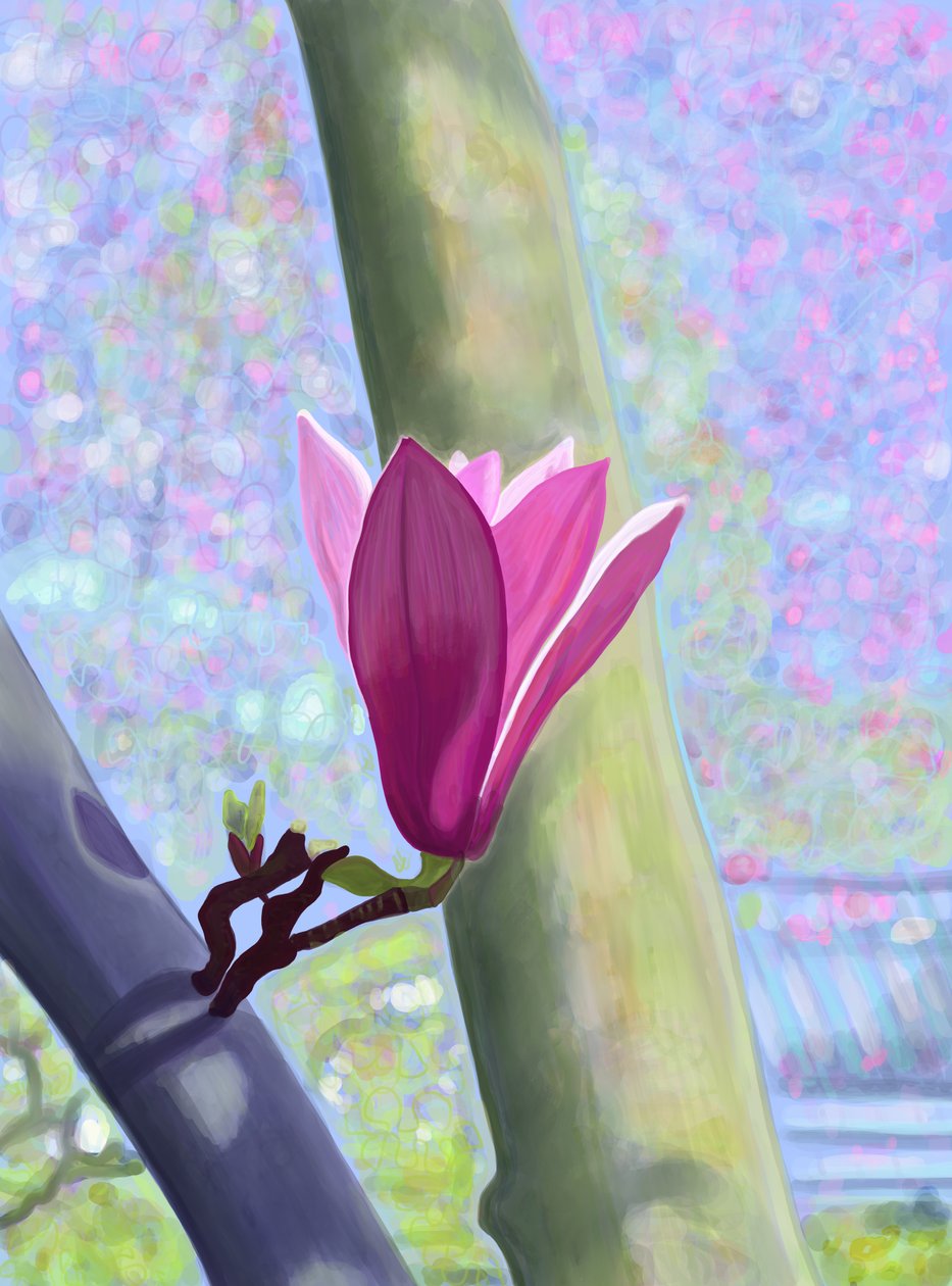 マグノリアの花（デジタルアート） 作： エヴァン・スクラー