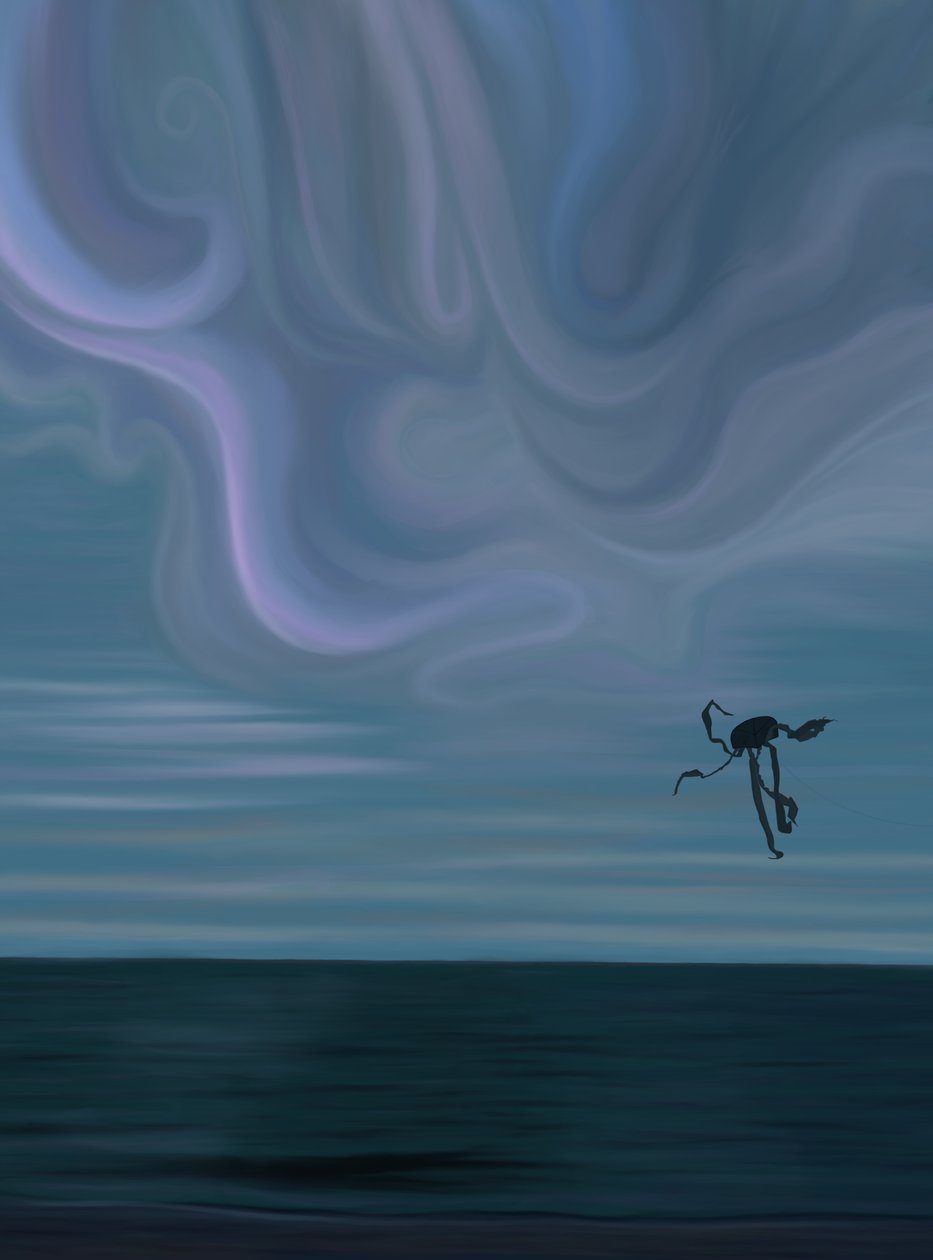 タコ凧と海と雲（デジタルアート） 作： エヴァン・スクラー