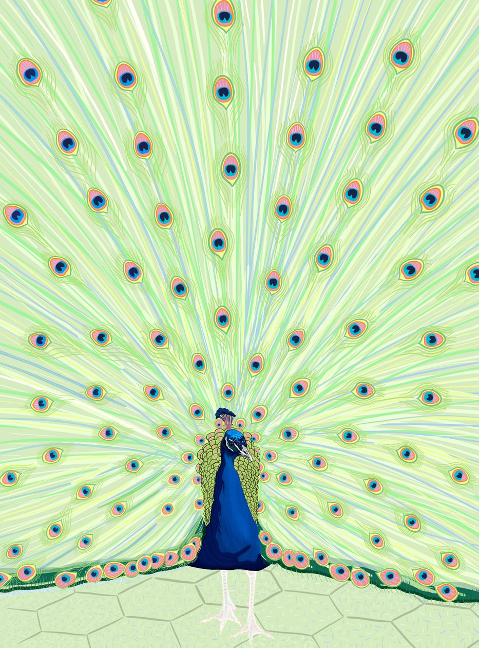  作： エヴァン・スクラー