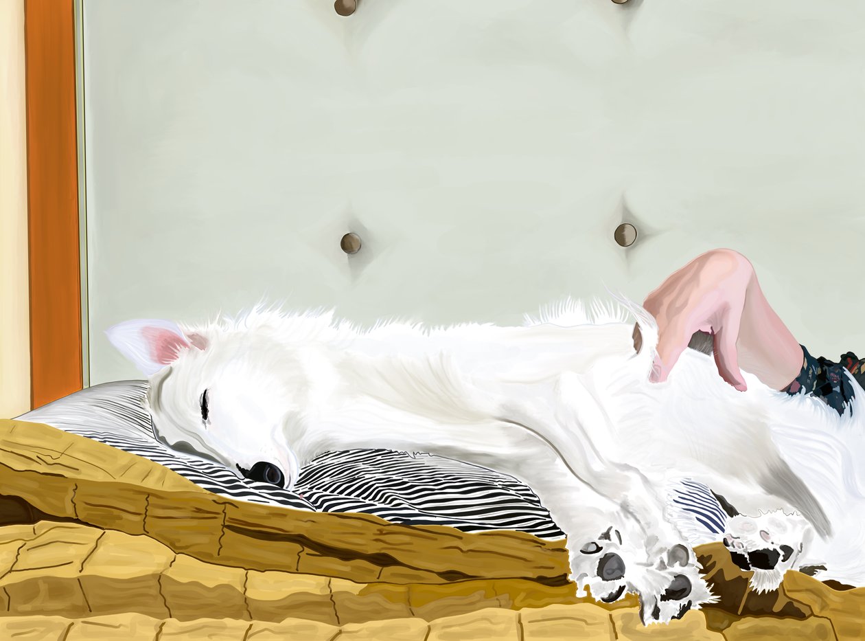 Penny On Yellow Comforter、ブルックリン（デジタルアート） 作： エヴァン・スクラー
