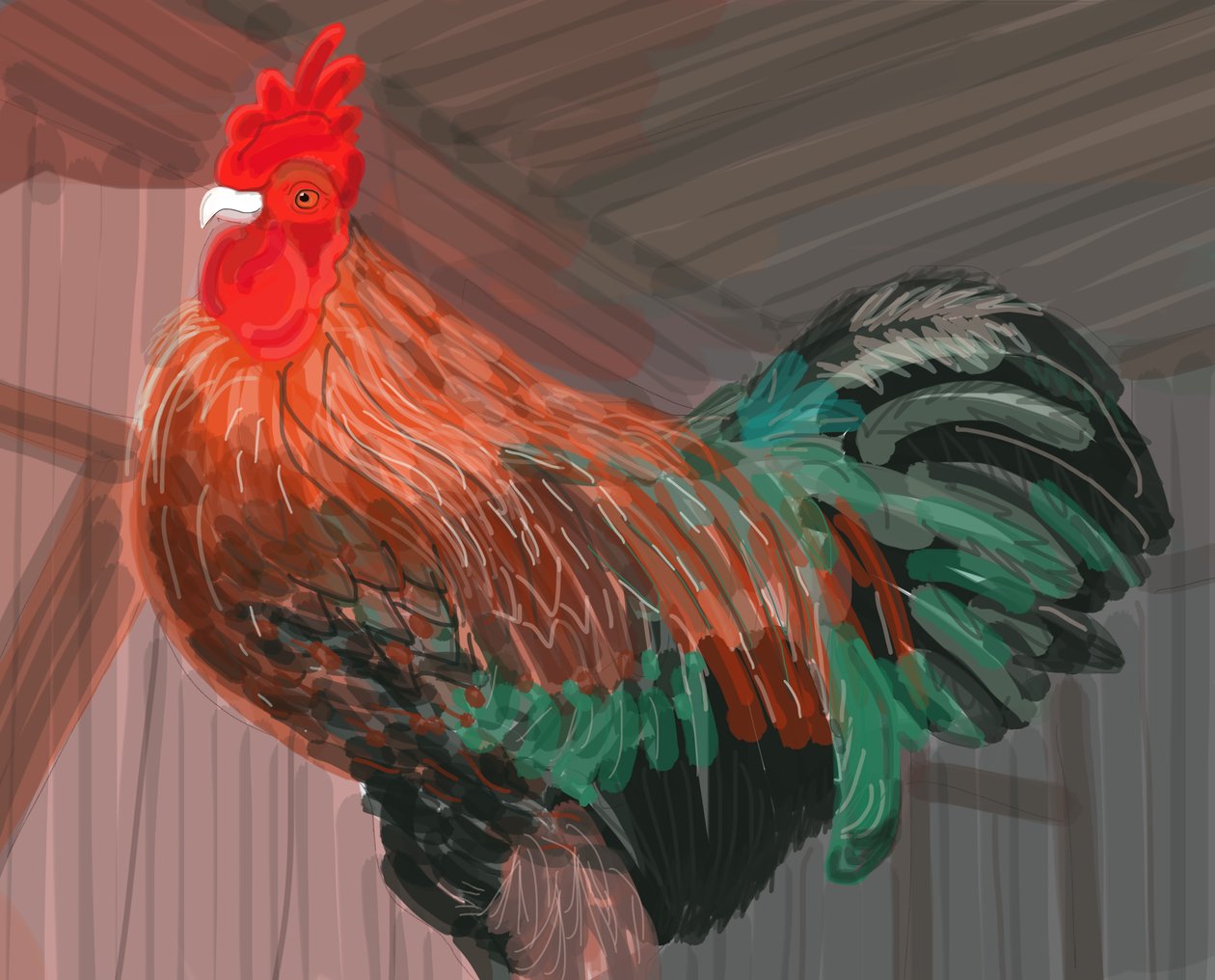 Rooster In Barn, 2018（iPadでアップルペンシルを使って手描きした。） 作： エヴァン・スクラー