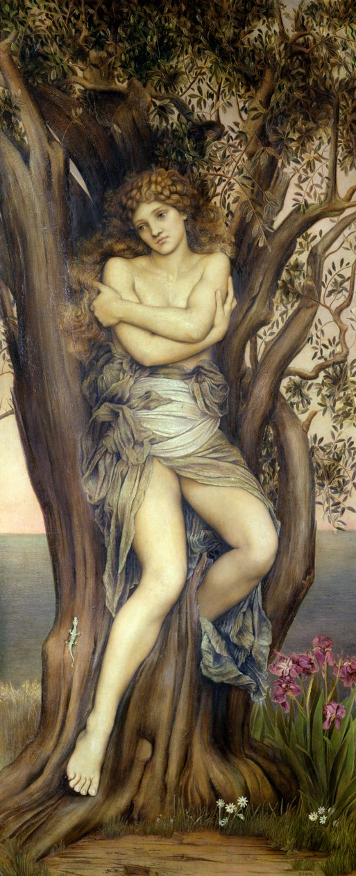 ドライアド、1884-85 作： Evelyn De Morgan