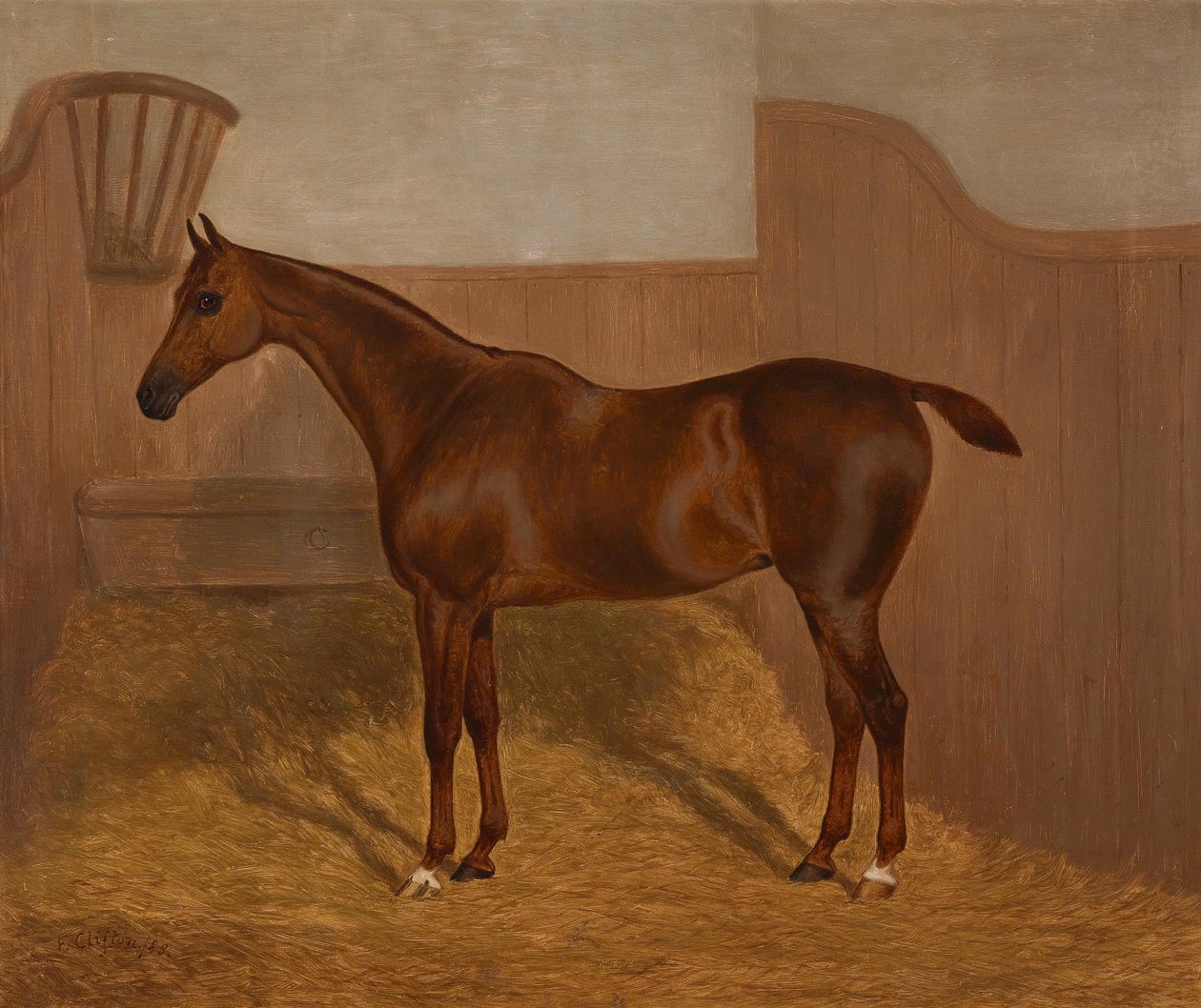 馬の肖像画（Las OswestryまたはDandy、これらの名前で1ロットで提供される2つの絵画の1つ） 作： F.クリフトン