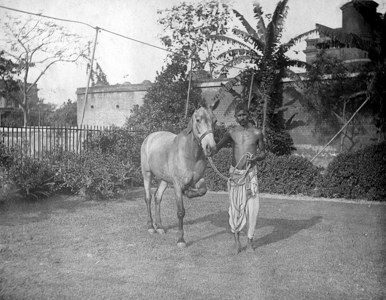 馬を持つ男、アリポア、インド、1905-1906 作： FLピーターズ