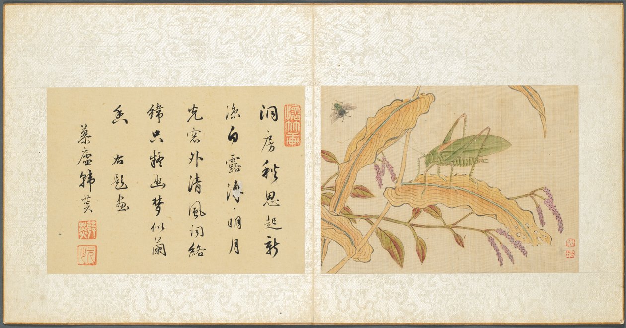 その他の主題のアルバム、リーフ7、1600年代。 作： ファンチー