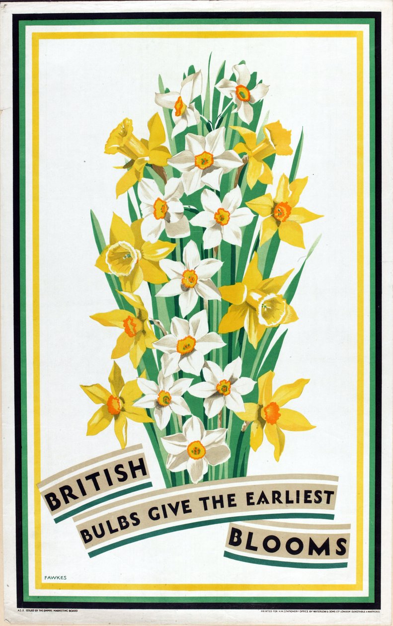 英国の球根は最も早く花を咲かせる』（カラーリトグラフ）（「家庭菜園のための英国の球根」シリーズより 作： フォークス フォークス