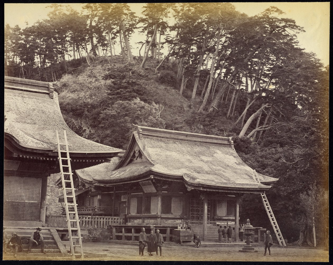 鎌倉の八幡神社 作： フェリーチェ・ベアト