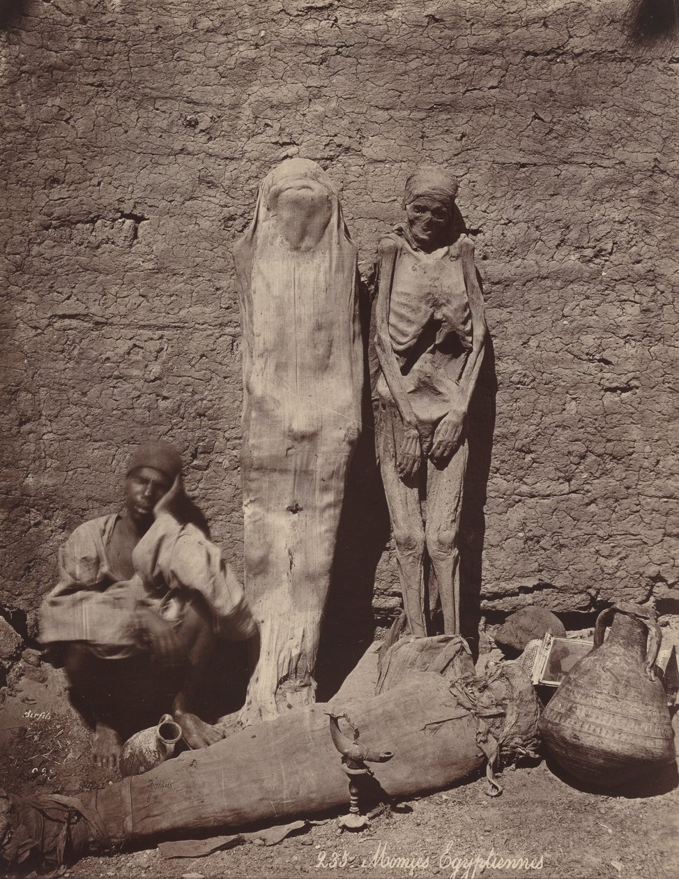 エジプトのミイラ,c.1870年（写真） 作： フェリックス・ボンフィス