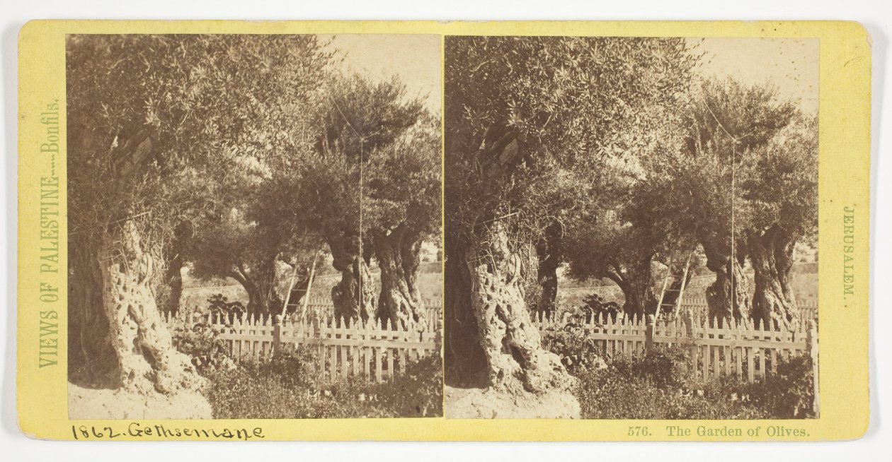 Der Garten der Oliven, Jerusalem, Nr. 576 aus der Serie "Ansichten von Palästina" 作： フェリックス・ボンフィス