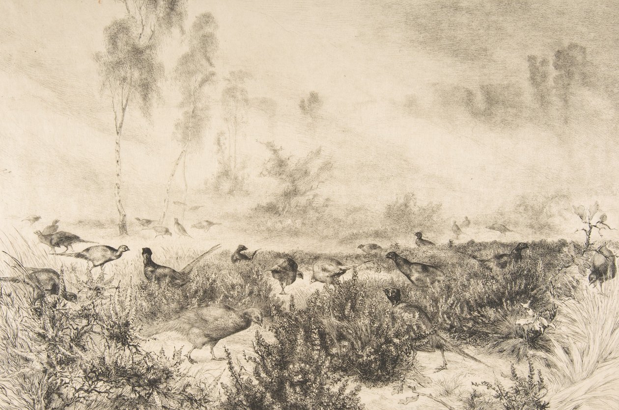朝靄、1882年。 作： フェリックス・ブラクモンド