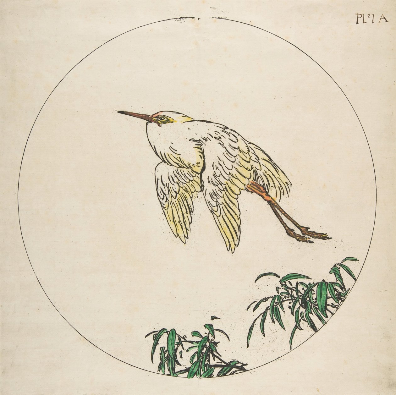 皿の装飾：竹の枝の上を飛ぶ白鷺、1850～1914年。 作： フェリックス・ブラクモンド