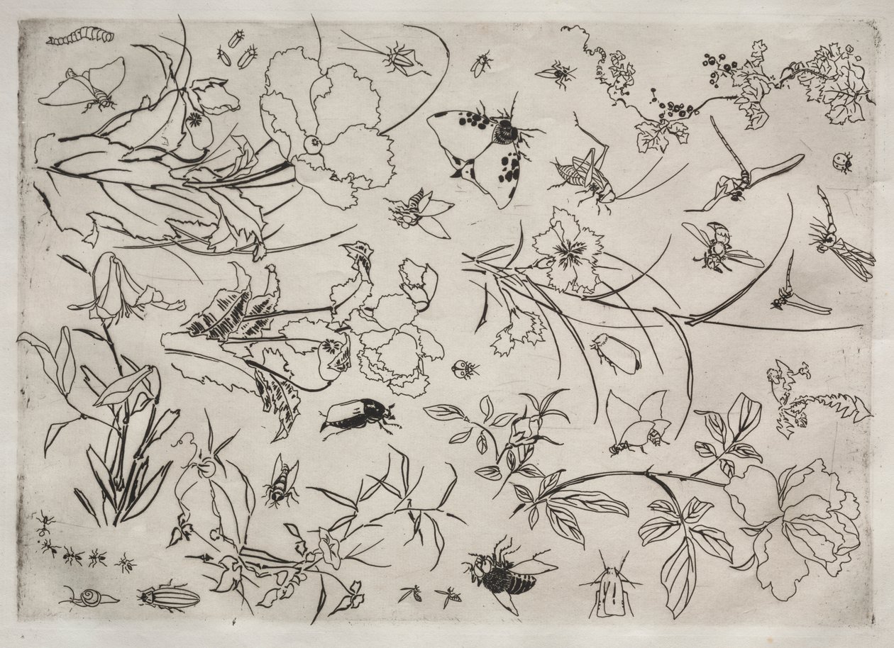 ディナーサービス（ルソーサービス）：花と昆虫（15番） 作： フェリックス・ブラクモンド