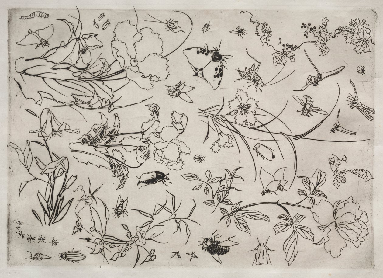 ディナーサービスルソーサービス：花と昆虫いいえ。 1866年。 作： フェリックス・ブラクモンド