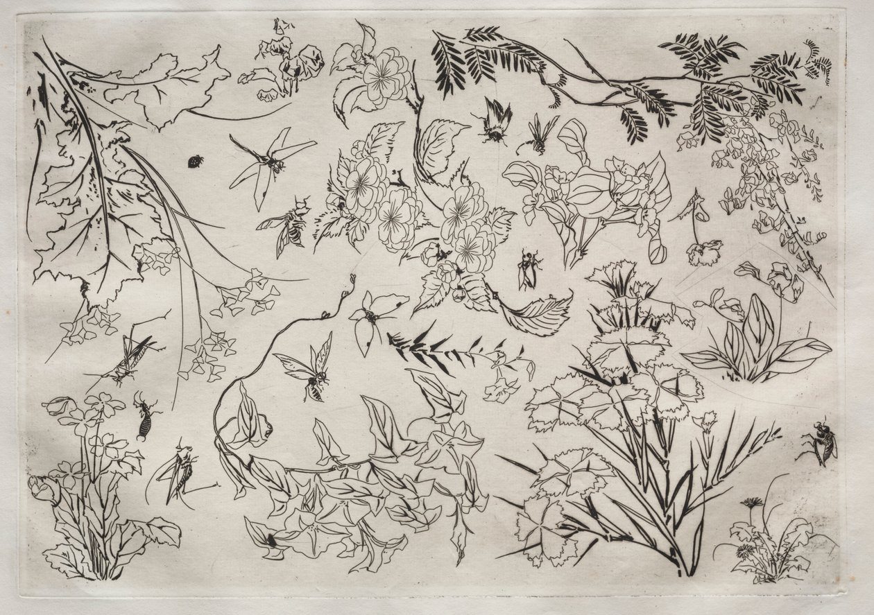 ディナーサービスルソーサービス：花なし。 22、1866。 作： フェリックス・ブラクモンド