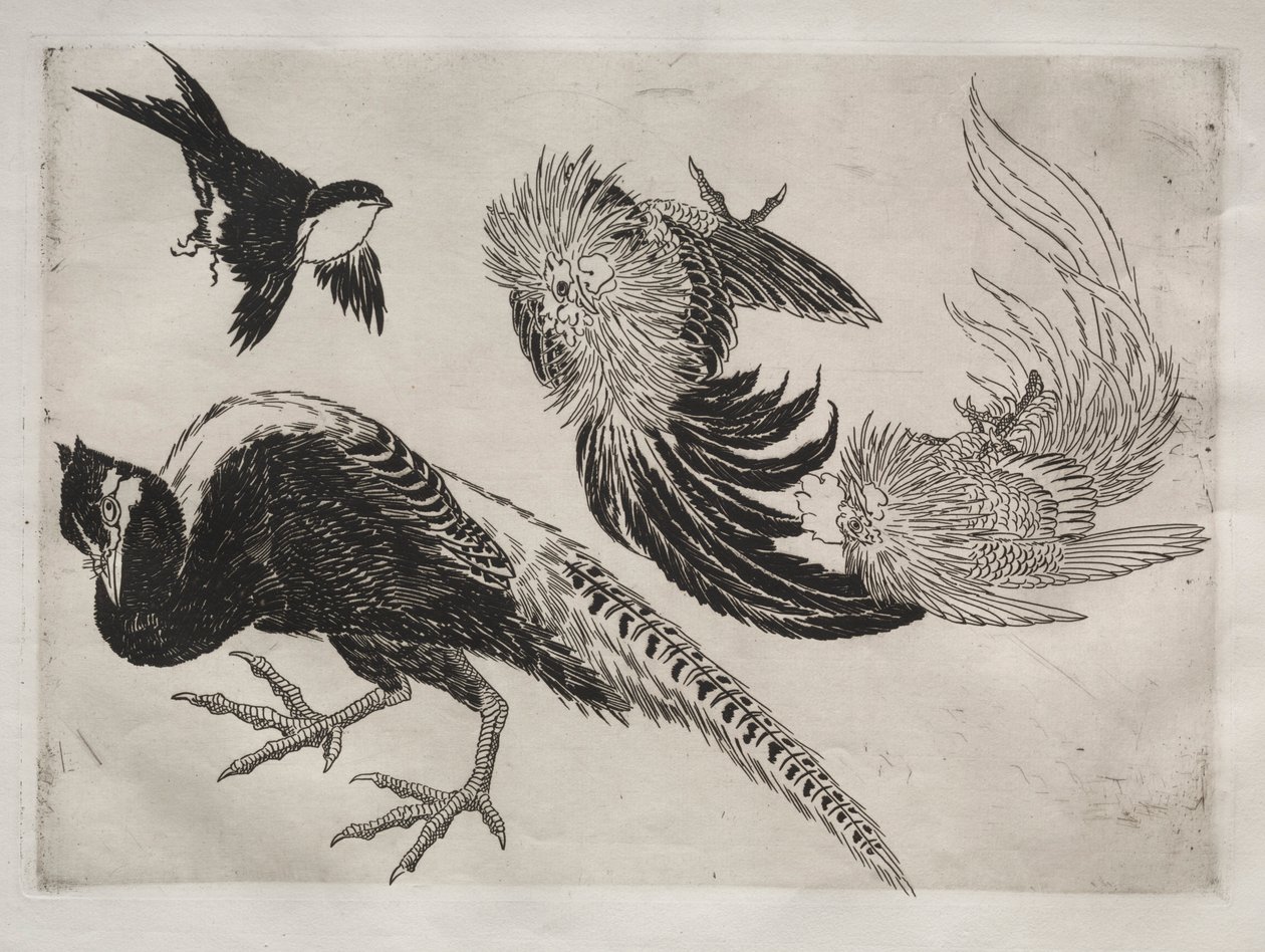 ディナーサービスルソーサービス：キジと鳥no。 1 8866年。 作： フェリックス・ブラクモンド