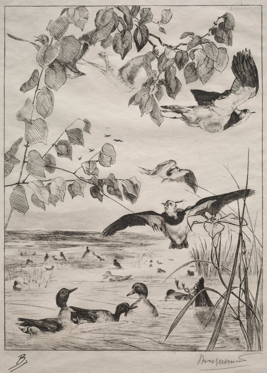 Lapwings and Teals、1862。 作： フェリックス・ブラクモンド