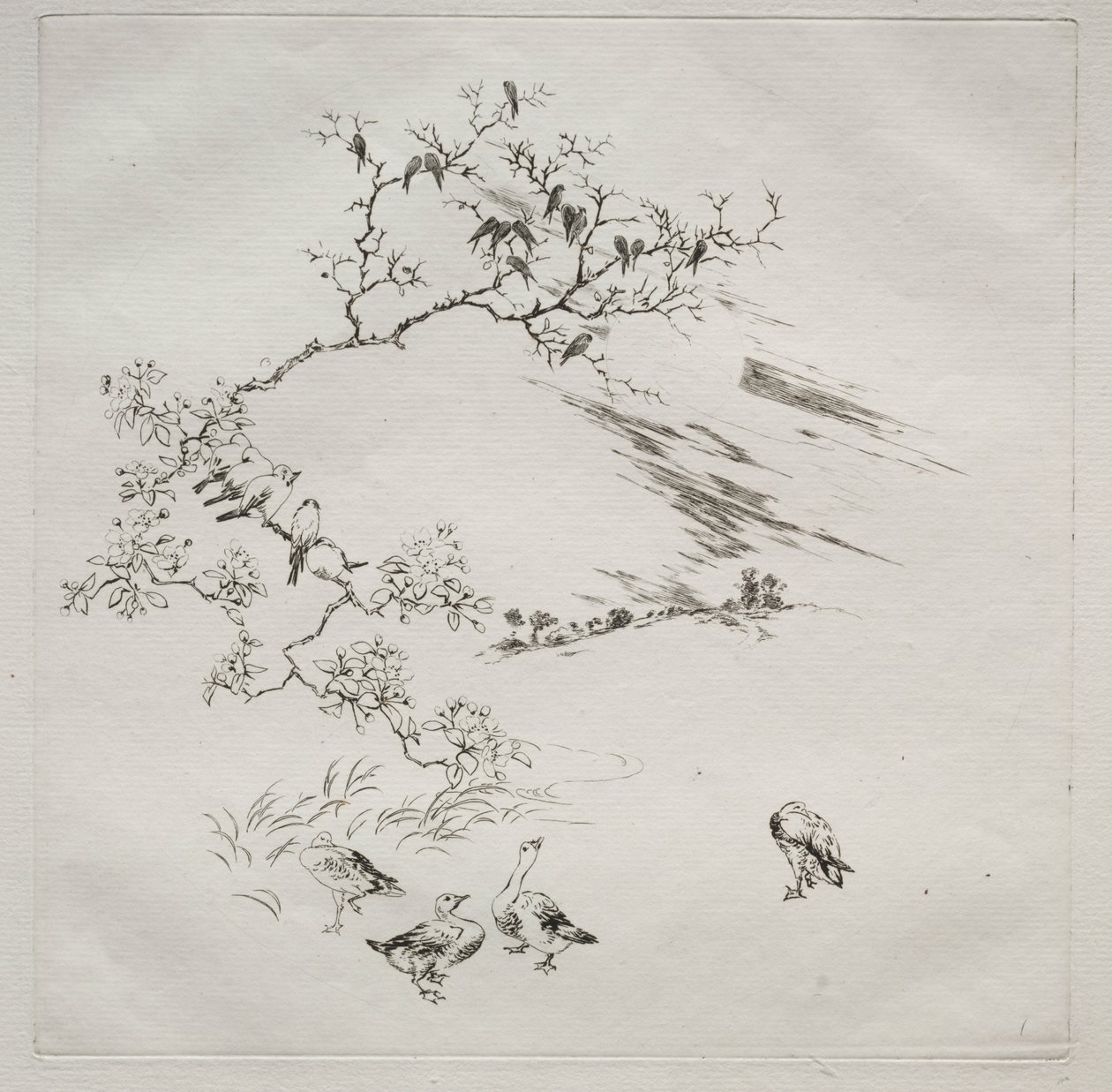 Parisian Service (Haviland service): 夜 (no. 7) 作： フェリックス・ブラクモンド