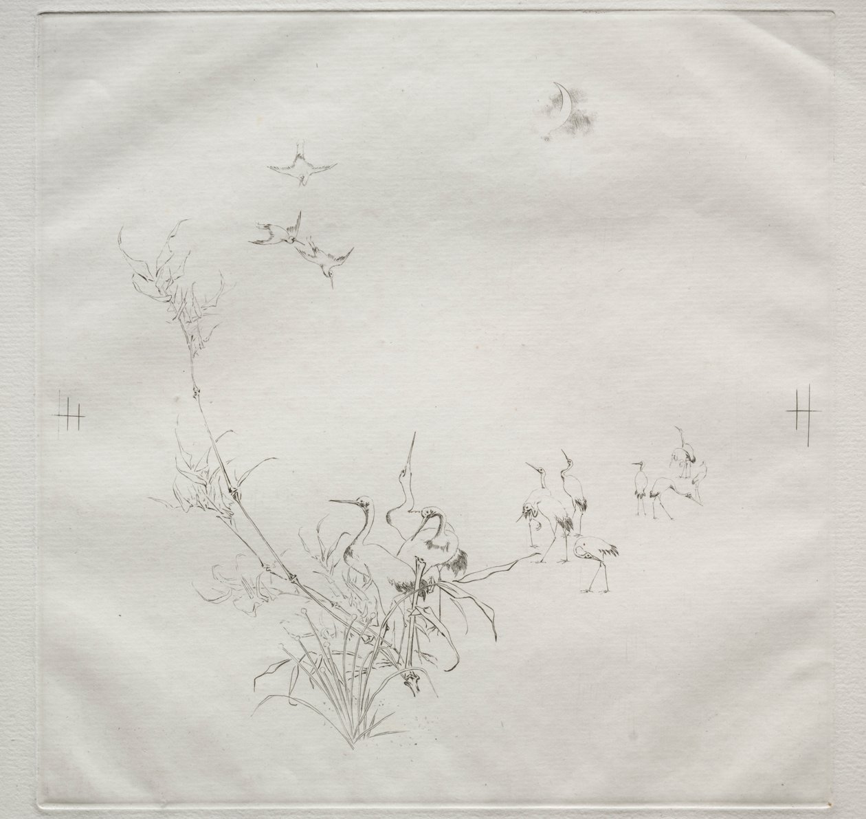 Parisian Service (ハビランド サービス): The Moon (no. 5) 作： フェリックス・ブラクモンド