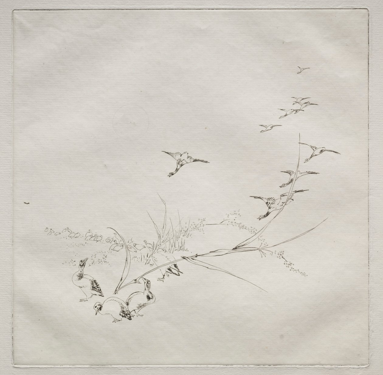 Parisian Service Haviland service：太陽の下で。 1875年9月。 作： フェリックス・ブラクモンド