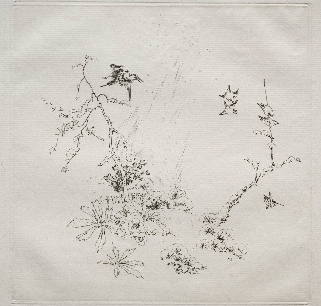 Parisian Service Haviland service：Snow no。 6、1875。 作： フェリックス・ブラクモンド