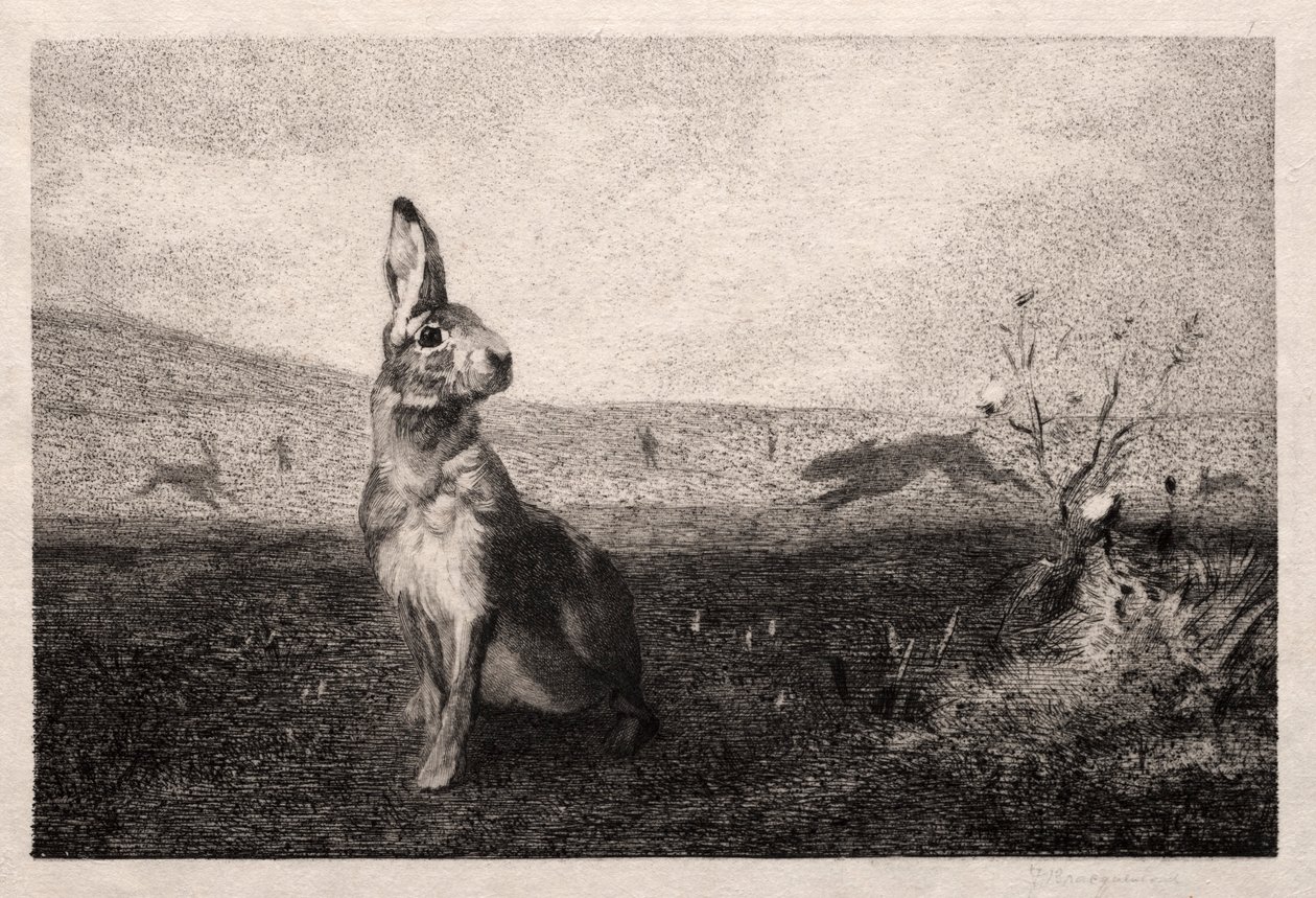 A. de Balleroy後のノウサギ、1865年。 作： フェリックス・ブラクモンド