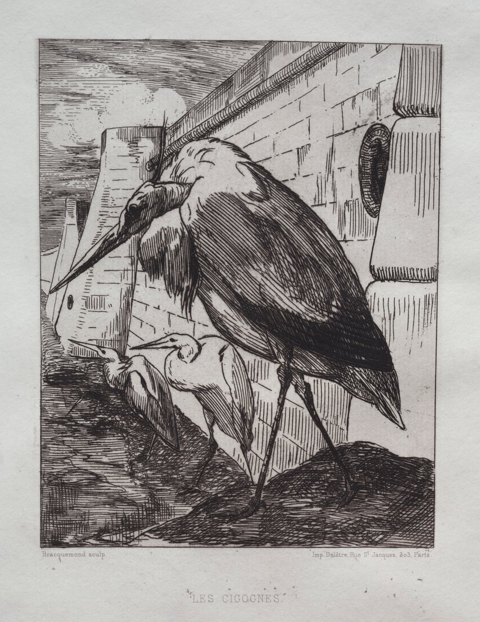 コウノトリ、1865。 作： フェリックス・ブラクモンド
