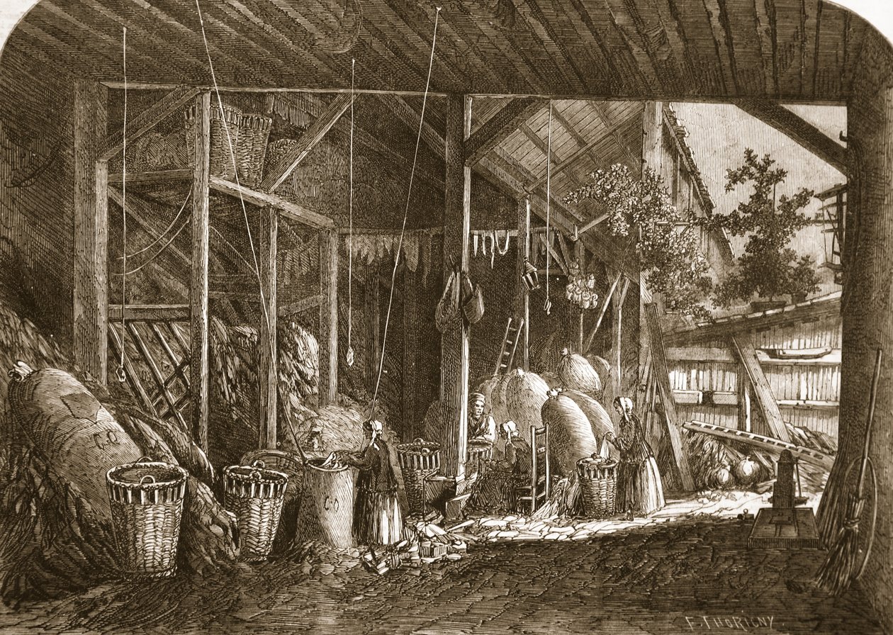 1861年6月8日、「The Illustrated London News」からのイラスト、パリのカルチェムフタールにあるぼろ倉庫 作： フェリックス・ソリニー