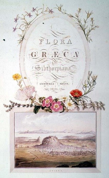 Flora Graeca Sibthorpiana」の第6巻のタイトルページ。 作： フェルディナンド・バウアー
