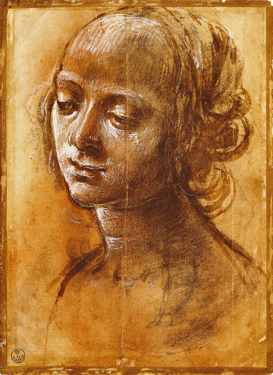女性像（フィリッピーノ・リッピ（1457-1504年頃）作）、デッサン 作： フィリッピーノリッピ