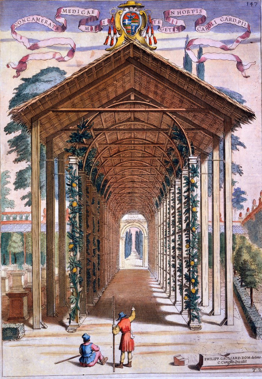 Camillo Congio（fl.1630）によって刻まれた、ジョヴァンニバティスタフェラーリによる「ヘスペリデス」からのトレリズドカバードウォークウェイ、1646年発行 作： フィリッポ・ガガルディ
